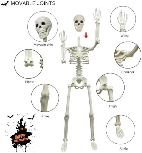 2 Pack 36in Posable Plastic Skeleton Halloween Decor - 3 ft Halloween Decor