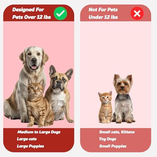 Pet Toothbrush for Dogs, Cats with Soft Bristles - Easy Teeth Cleaning & Dental Care