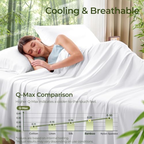 Sasttie 100% Rayon Derived from Bamboo Sheet Set Queen Size, White 4 Pieces