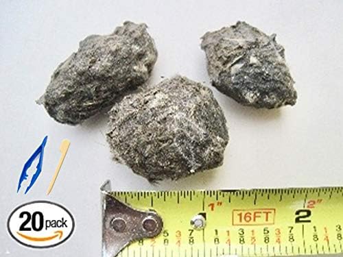 Premium Barn Owl Pellets, Small: 1.25"-1.5" (Pack of 20) - Free Bone Identification Chart