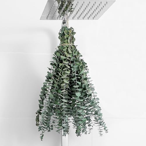 10 Pcs Dried Eucalyptus Stems 17" Real Eucalyptus for Shower Hanging