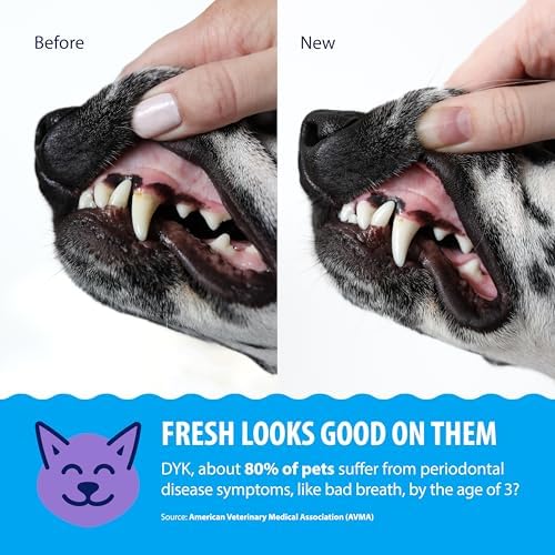 Dental Fresh Water Additive - Plaque & Tartar Care for Dogs & Cats - 17 oz