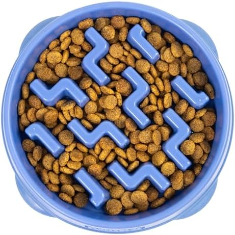 Outward Hound Fun Feeder Slo Bowl Dog Slow Feeder, Notch, Blue, 8.8"