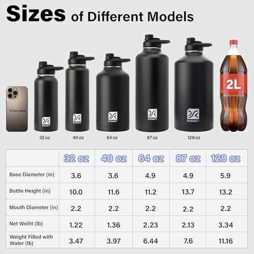 DYSANKY Insulated Water Bottle with Straw Lid & Portable Carrier Bag, 64oz