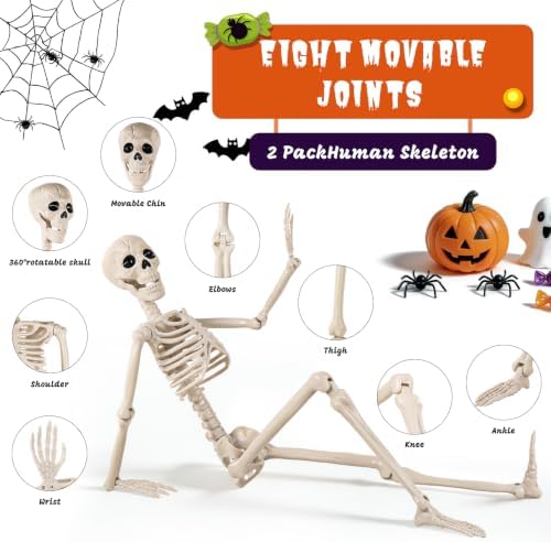 DWTS 2 Pack 36" Skeleton Halloween Decor