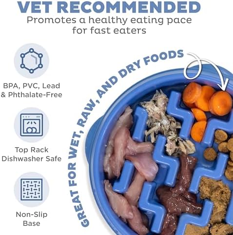 Outward Hound Fun Feeder Slo Bowl Dog Slow Feeder, Notch, Blue, 8.8"