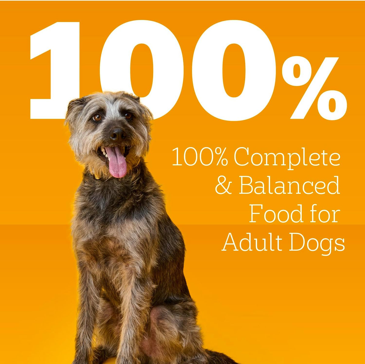 Pedigree Wet Dog Food, Choice Cuts Adult Canned Dog Food with Beef, 13.2 oz.
