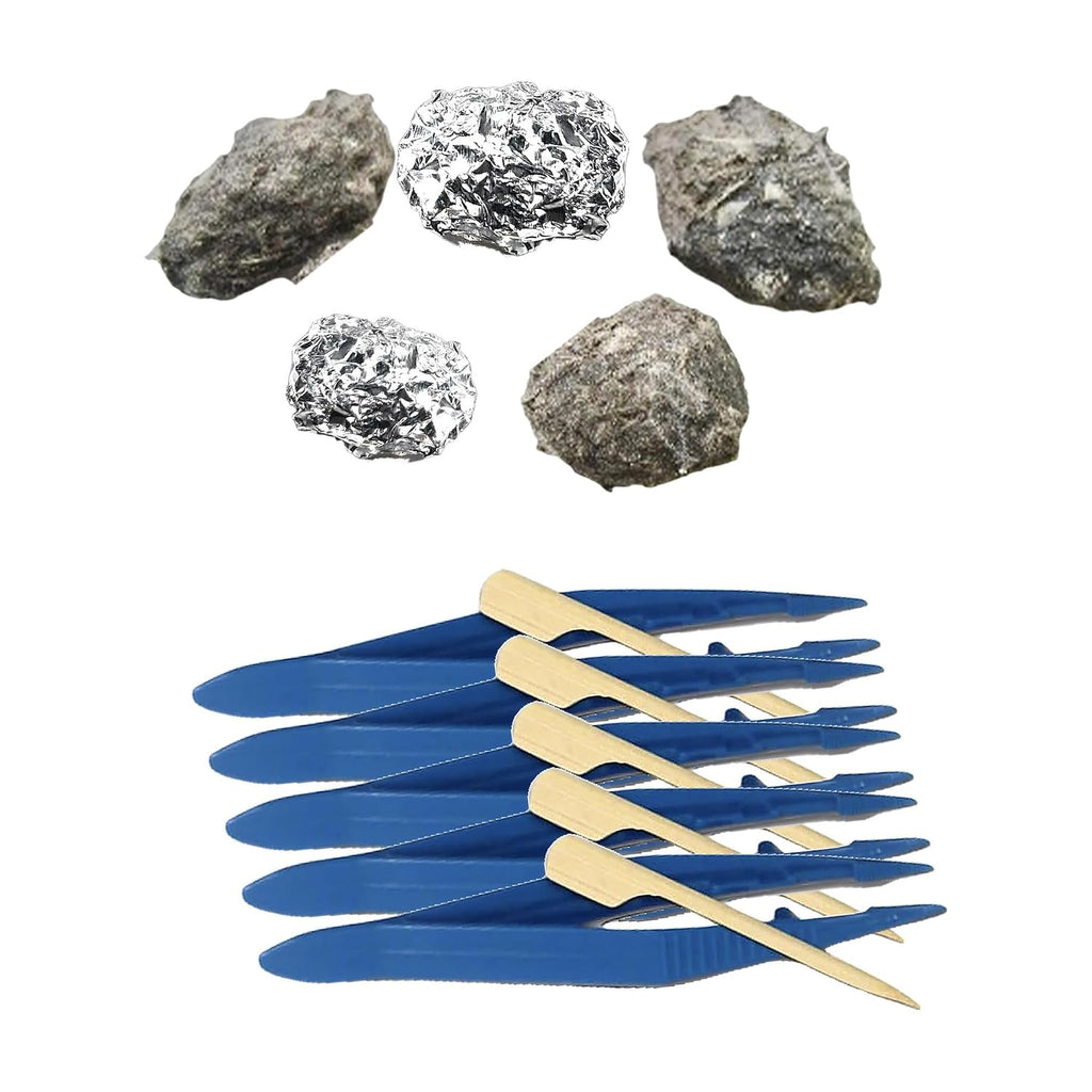 Premium Barn Owl Pellets, Small: 1.25"-1.5" - barn owl pellet bone chart