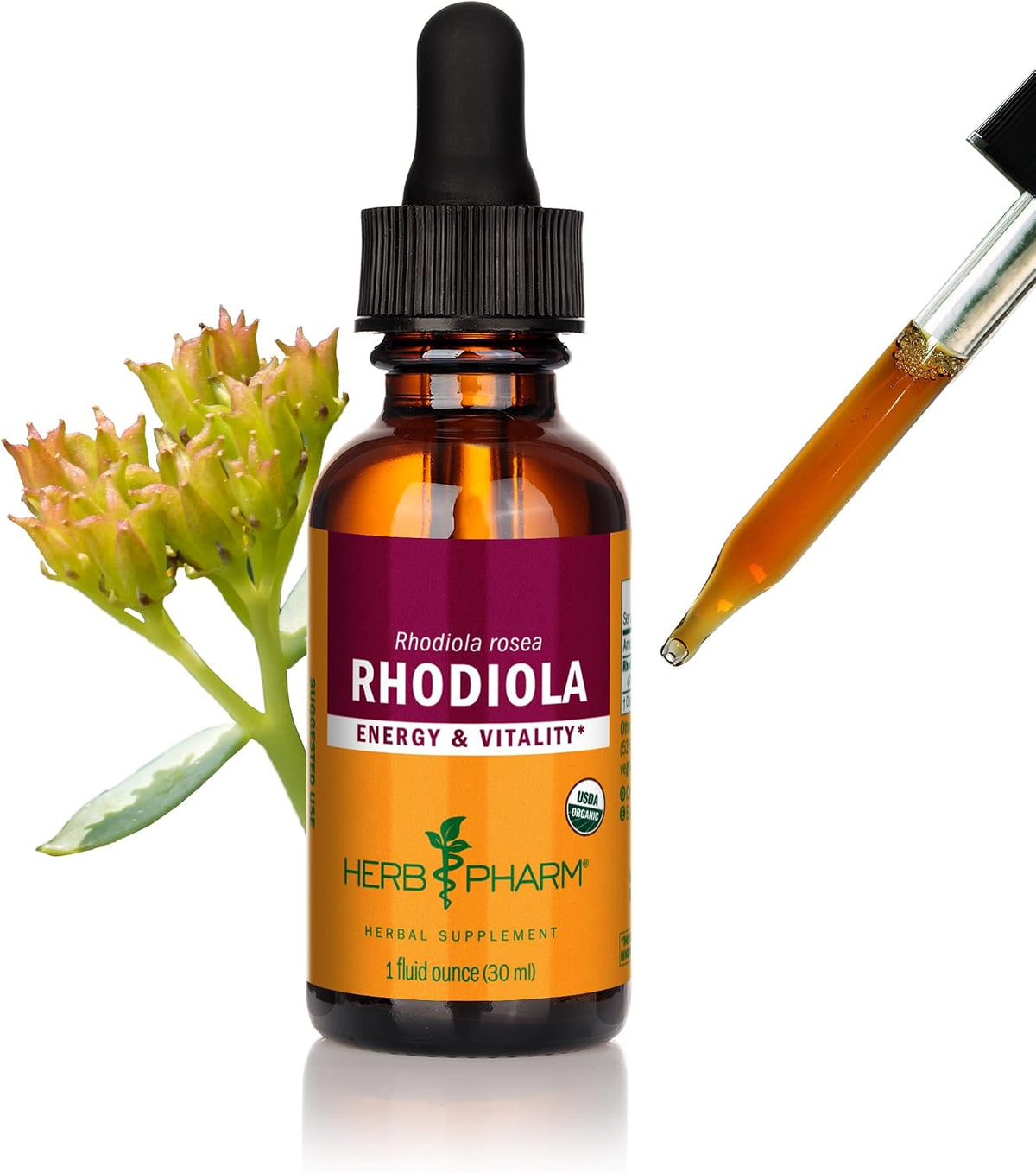 Herb Pharm Organic Rhodiola Rosea Energy & Vitality Extract: Organic Adaptogen Tincture