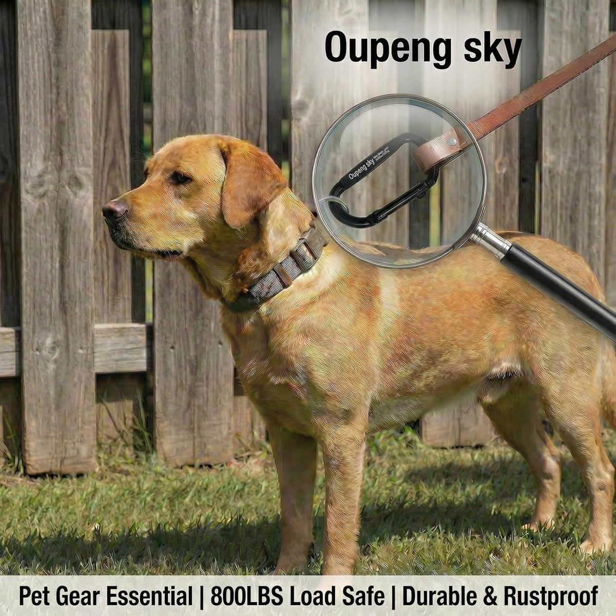 Carabiner Clip - Heavy Duty Carabiners 800lbs-13KN (2922 lbs) Carabeaner D