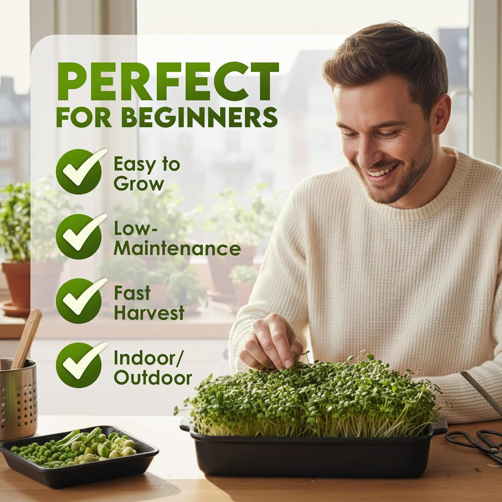 Nature Jim‰۪s Sprouts Organic Salad Mix ‰ÛÒ Non-GMO Microgreen Seeds, Perfect