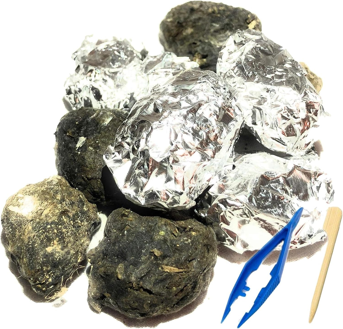 Premium Barn Owl Pellets, Small: 1.25"-1.5" - barn owl pellet identification