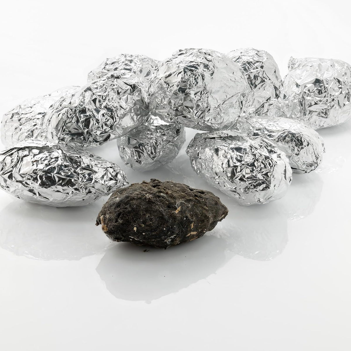 Barn Owl Pellets, Pack of 5 Extra Large Pellets and Bone Sorting Guide